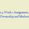 ADM 614 Week 1 Assignment, Private Ownership and Markets