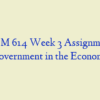 ADM 614 Week 3 Assignment, Government in the Economy