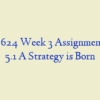 ADM 624 Week 3 Assignment Case 5.1 A Strategy is Born