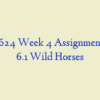 ADM 624 Week 4 Assignment, Case 6.1  Wild Horses