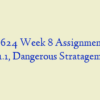 ADM 624 Week 8 Assignment Case 11.1, Dangerous Stratagems
