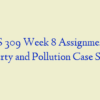 BUS 309 Week 8 Assignment 2, Poverty and Pollution Case Study