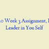 BUS 520 Week 3 Assignment, Finding Leader in You Self