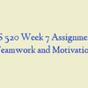 BUS 520 Week 7 Assignment 3, Teamwork and Motivation