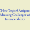 HCI 600 Topic 6 Assignment, Addressing Challenges with Interoperability