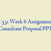 HRM 531 Week 6 Assignment, HR Consultant Proposal PPT