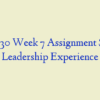 LDR 630 Week 7 Assignment Servant Leadership Experience