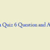 MN 551 Quiz 6 Question and Answers